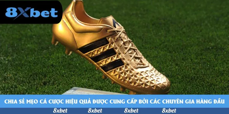 Chia sẻ mẹo cá cược hiệu quả được cung cấp bởi các chuyên gia hàng đầu